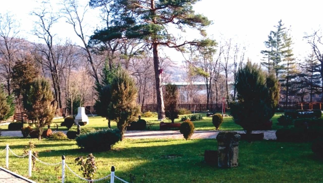 Hotel Spa Cazino Monteoru Sărata-Monteoru Eksteriør bilde